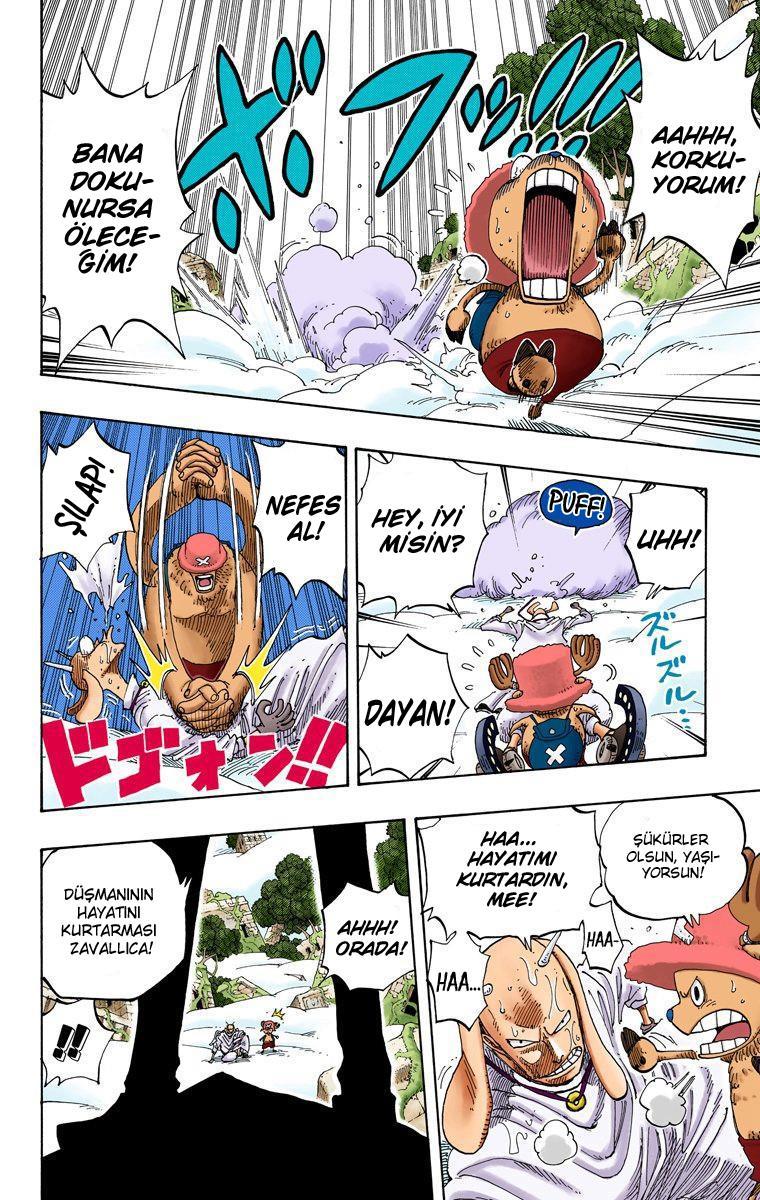 One Piece Renkli Bölüm 0262 Sayfa 1 Oku MangaDenizi