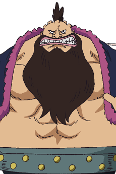 Counter Charlotte