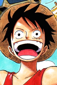 Luffy Monkey D.