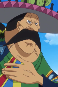 Taco