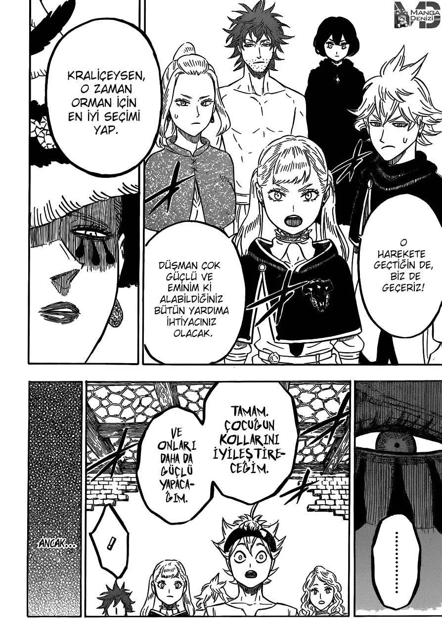 Black Clover - Sayfa 16