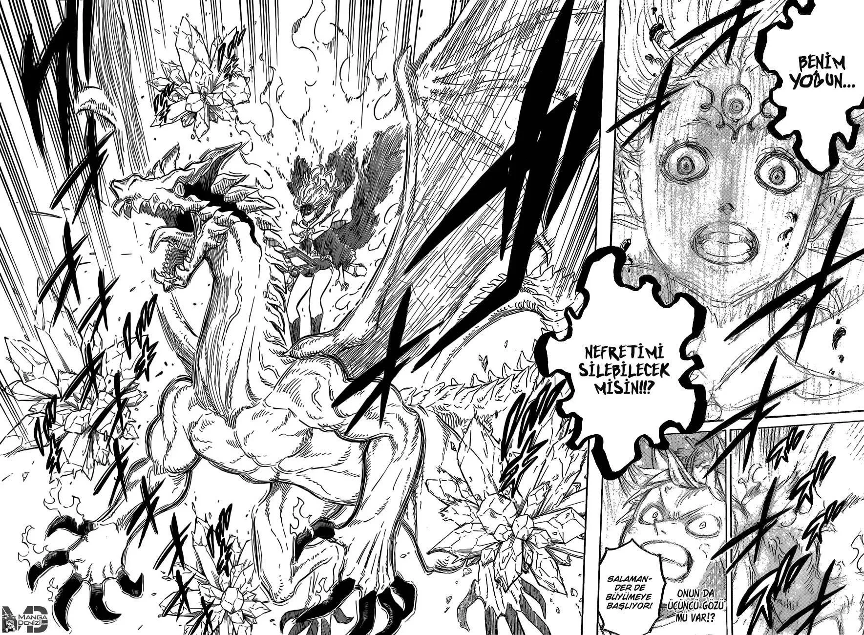 Black Clover - Sayfa 14