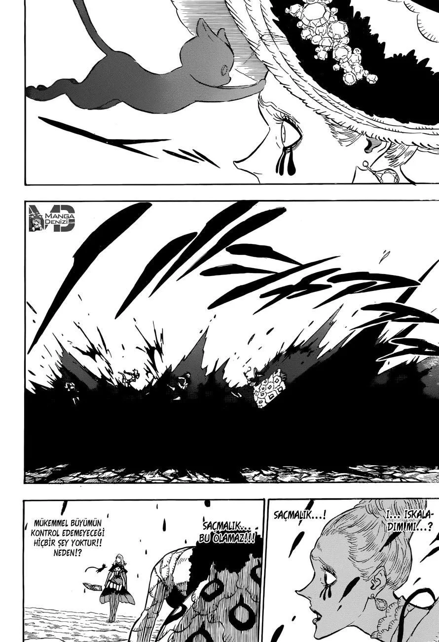 Black Clover - Sayfa 15