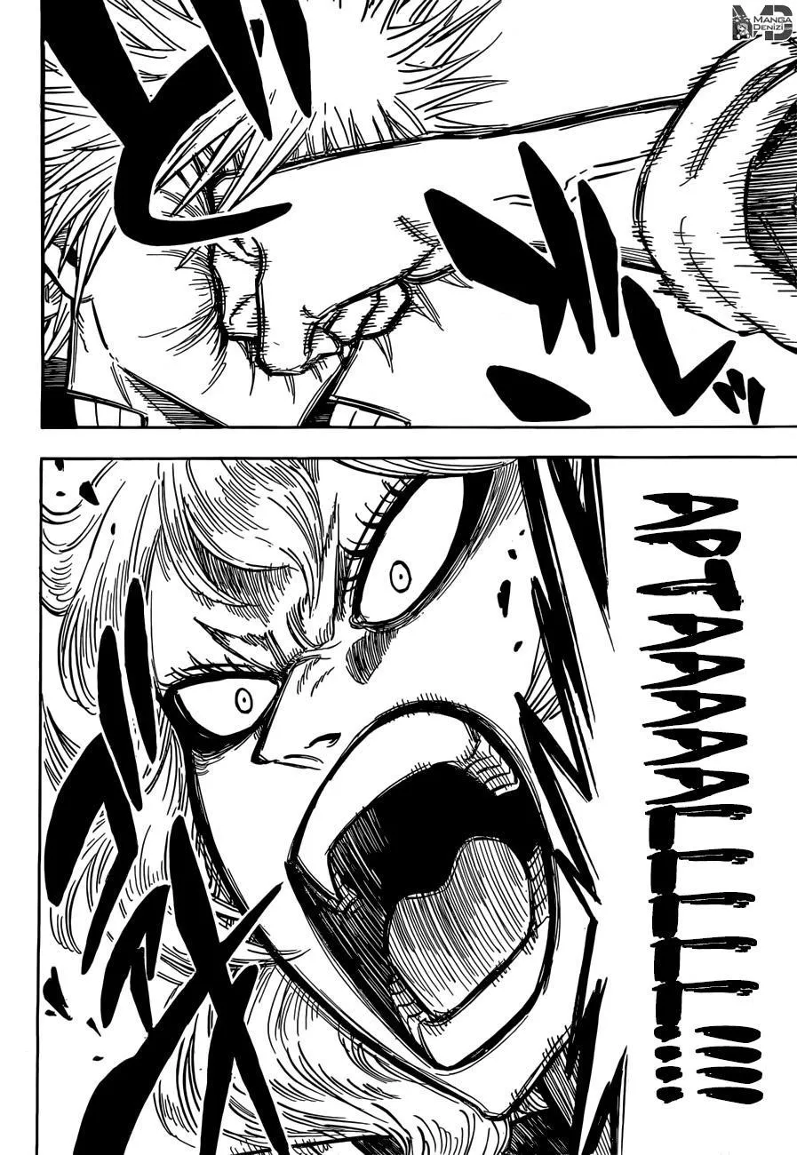 Black Clover - Sayfa 17