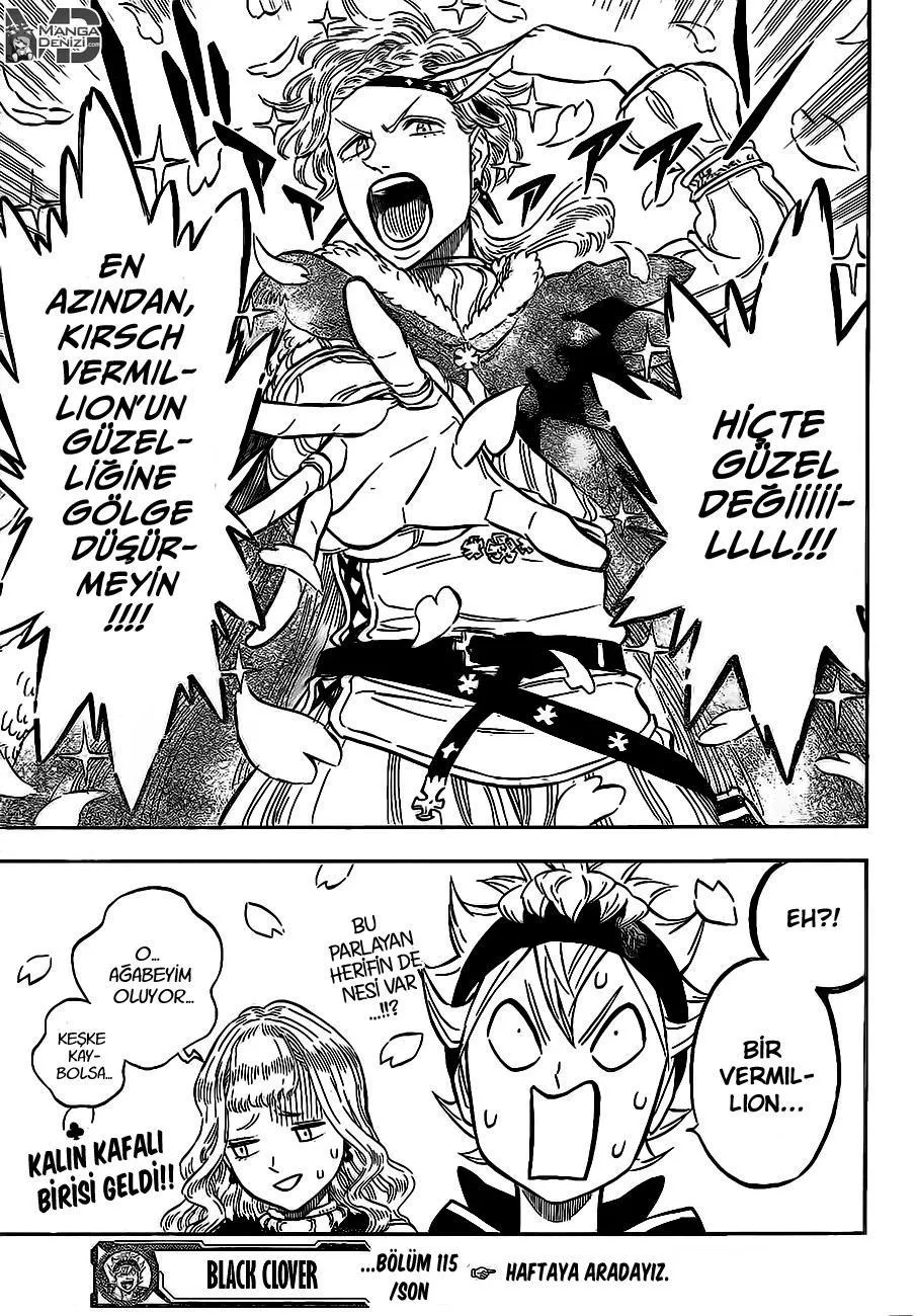 Black Clover - Bölüm 115 - Sayfa 17