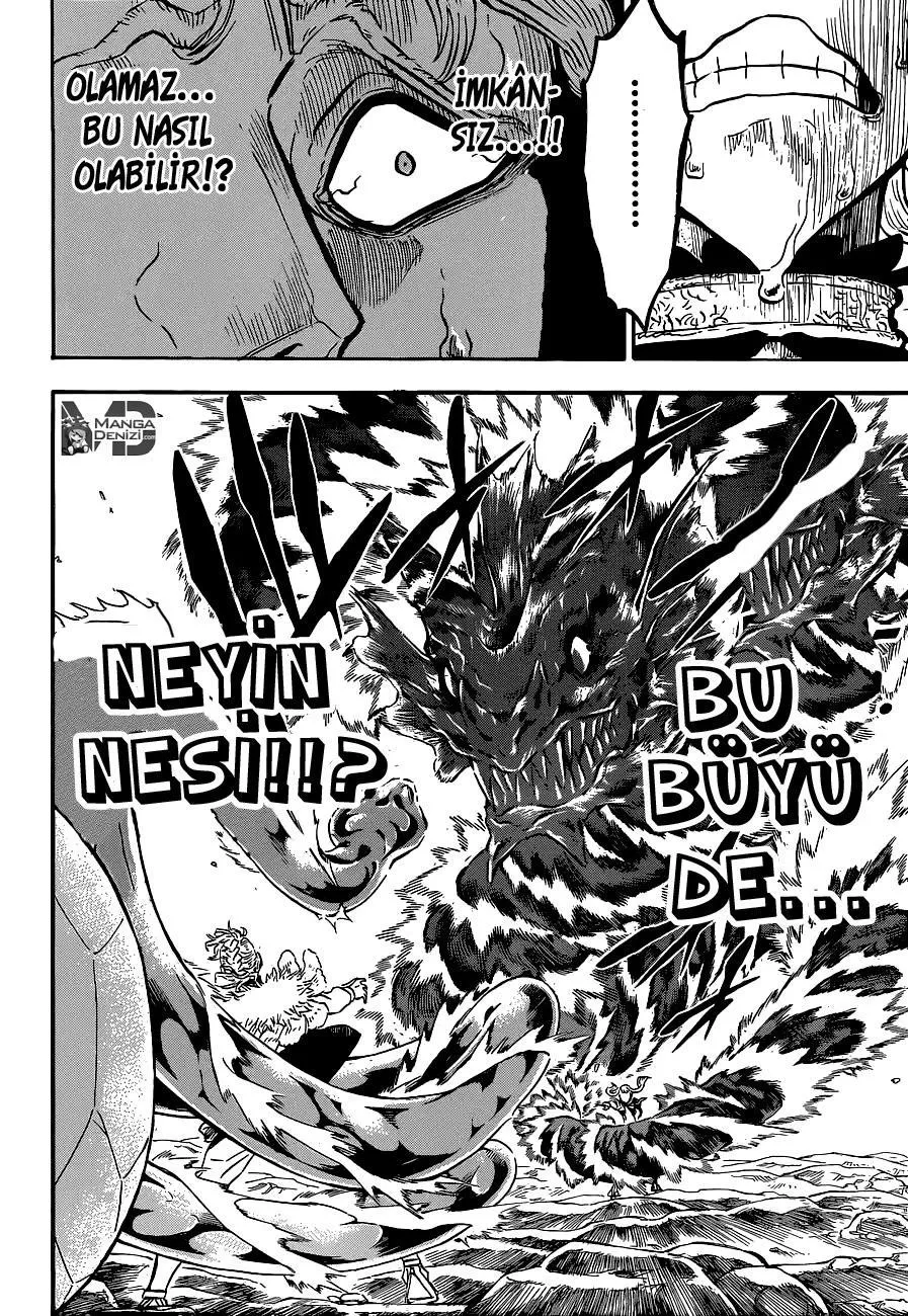 Black Clover - Sayfa 15