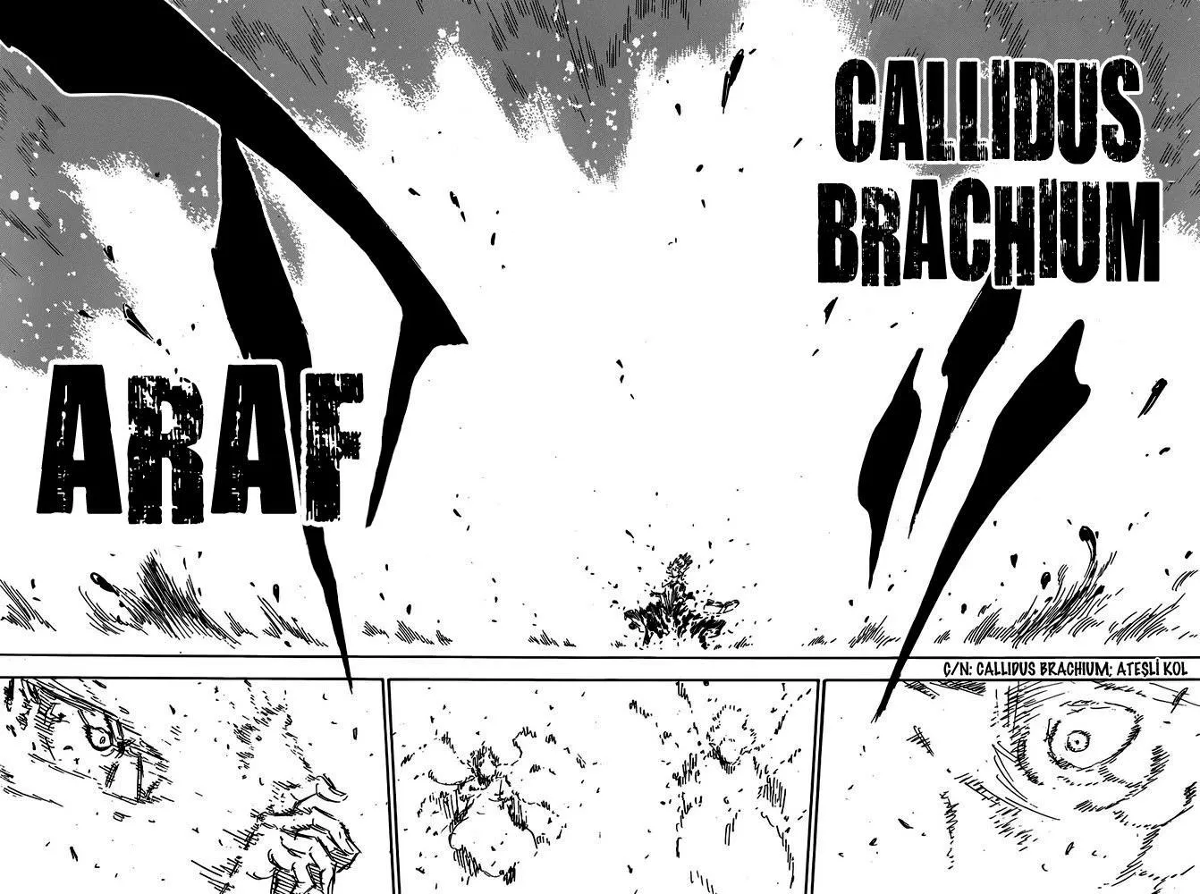 Black Clover - Sayfa 5