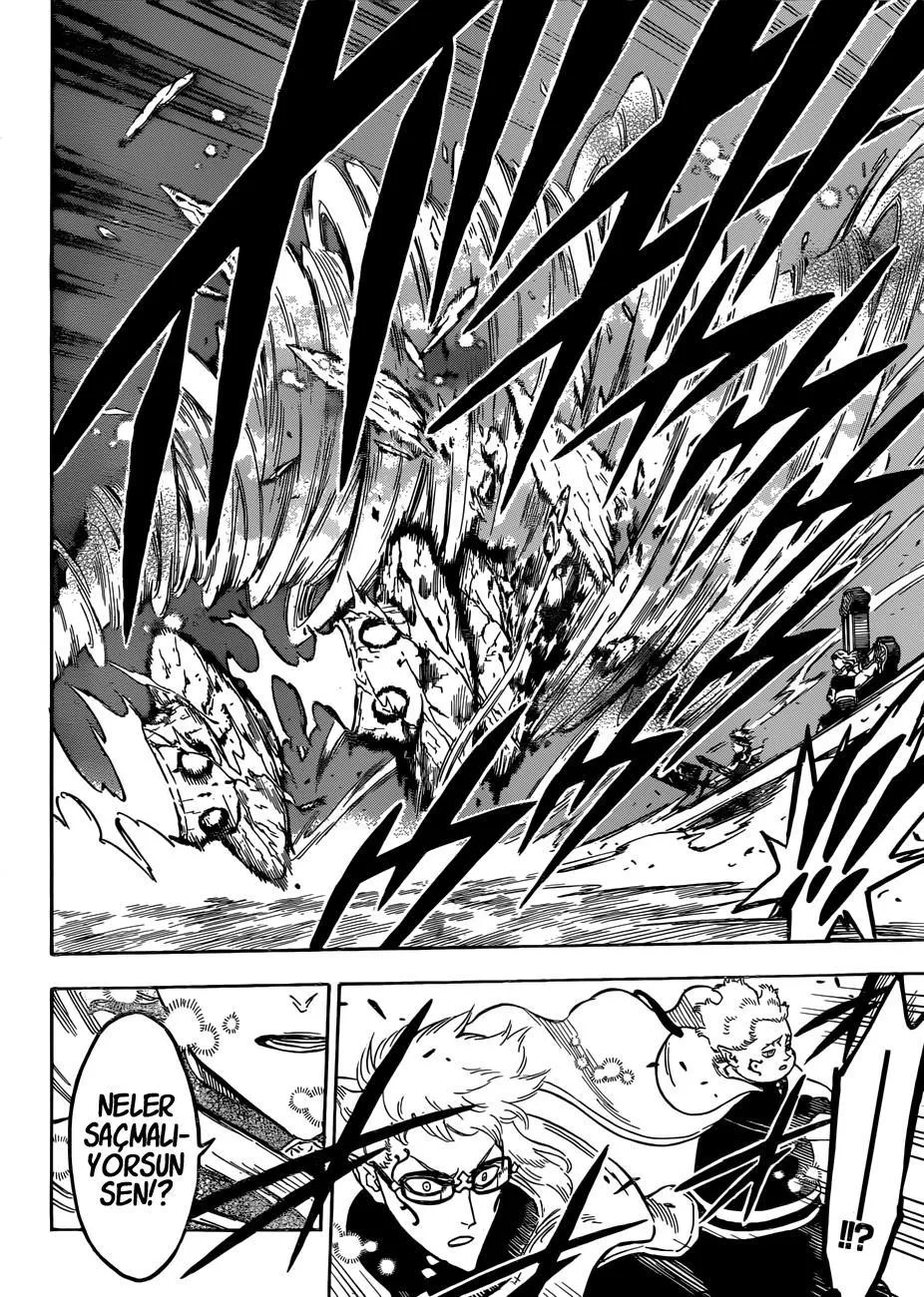 Black Clover - Sayfa 15