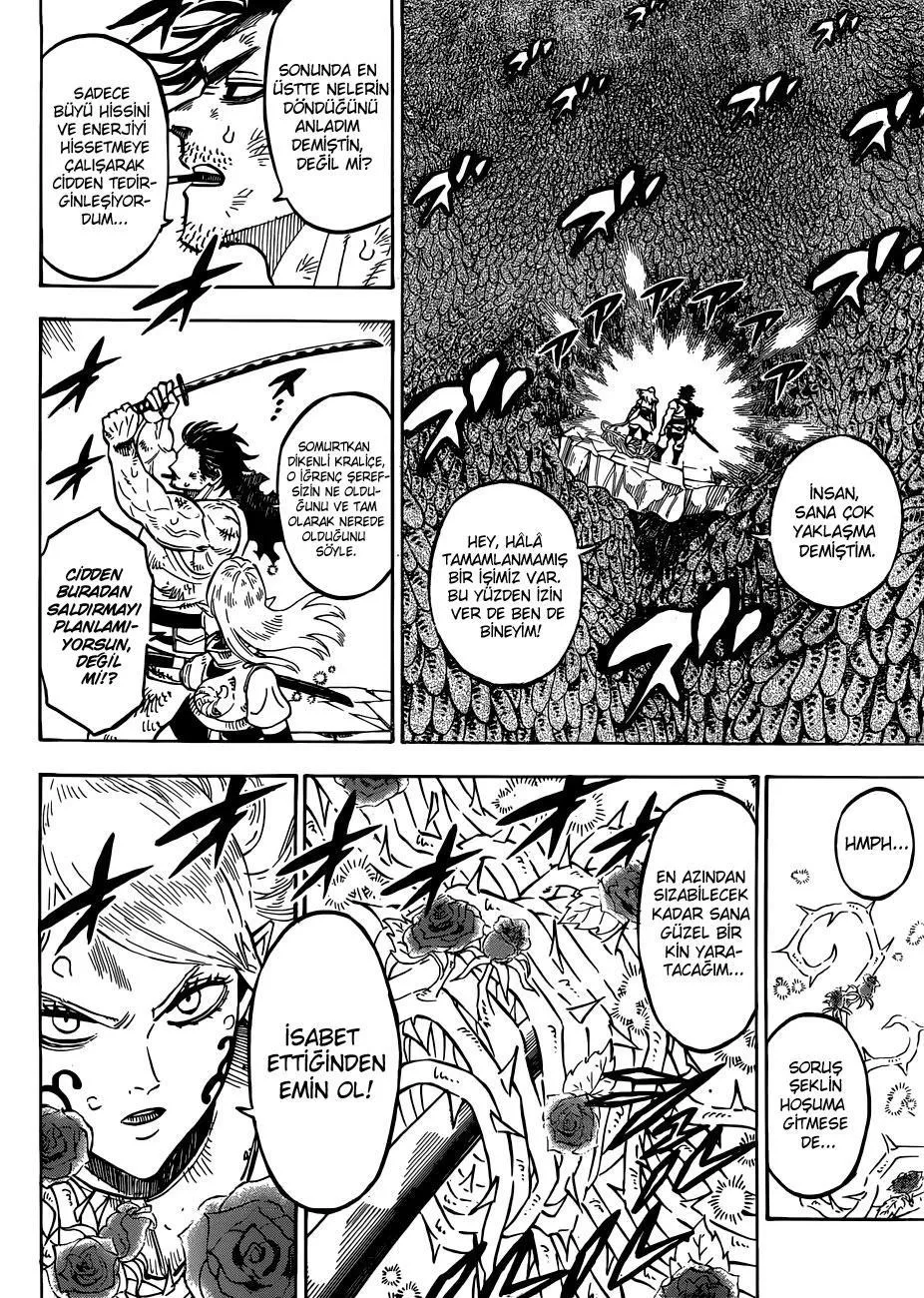 Black Clover - Sayfa 15
