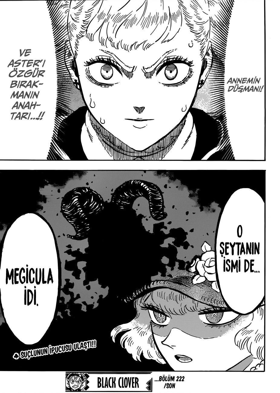 Black Clover mangasının 222 bölümünün 15. sayfasını okuyorsunuz.