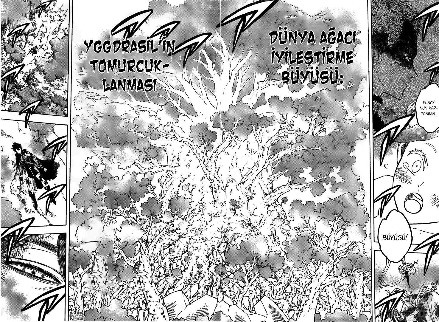 Black Clover mangasının 239 bölümünün 5. sayfasını okuyorsunuz.