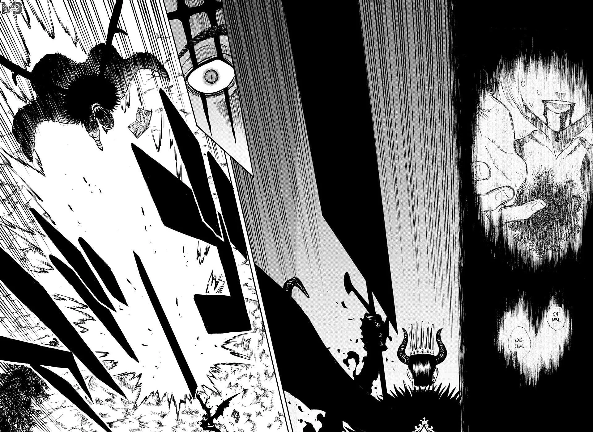 Black Clover - Sayfa 16