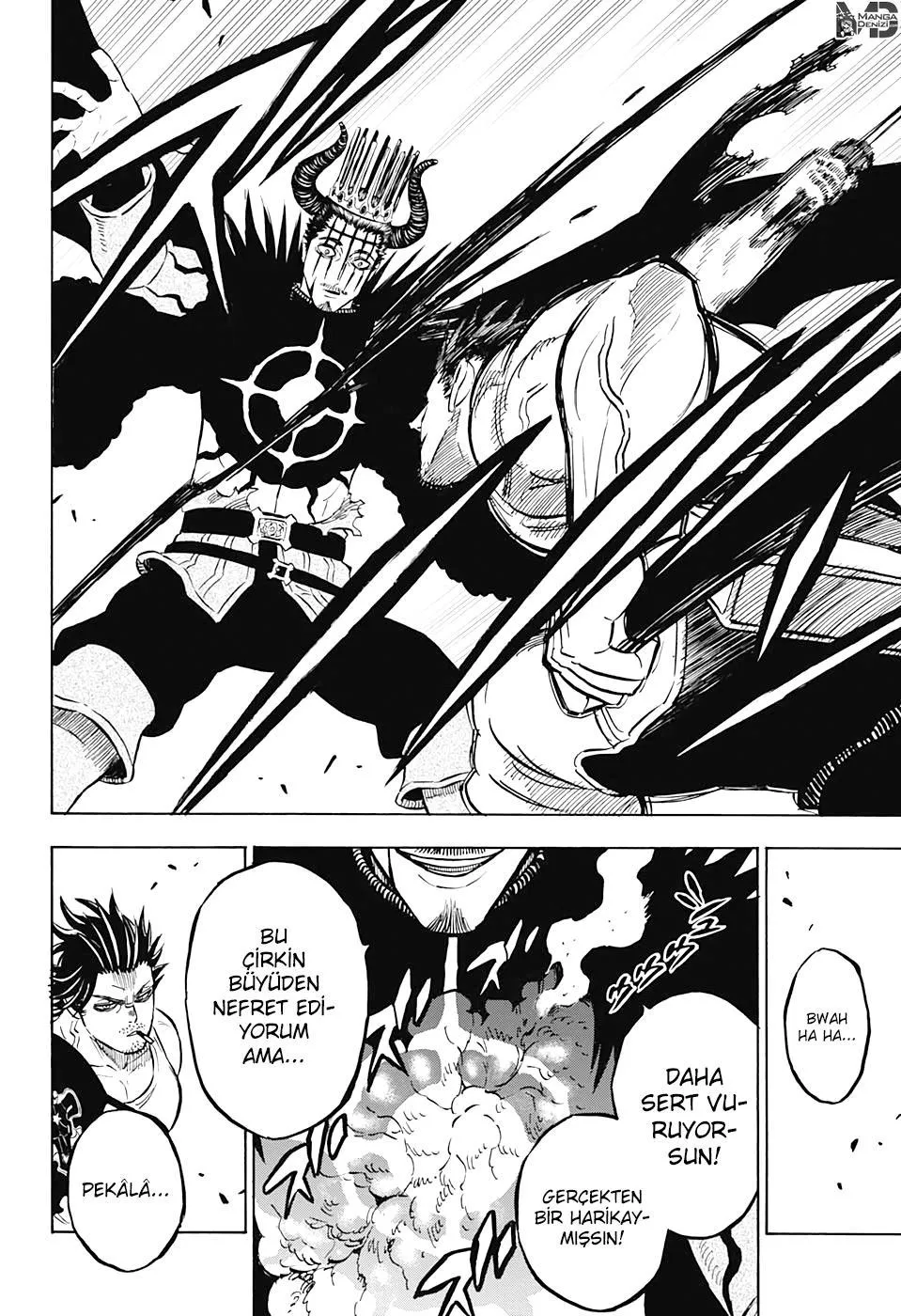 Black Clover - Sayfa 15