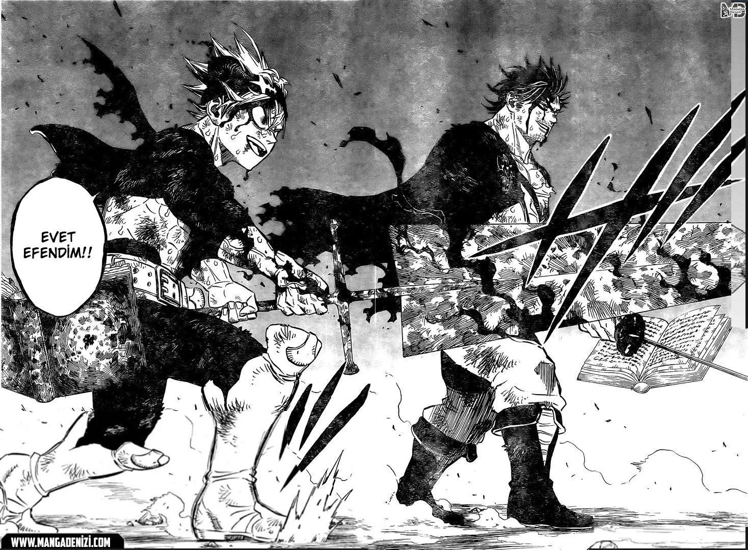 Black Clover - Bölüm 257 - Sayfa 13