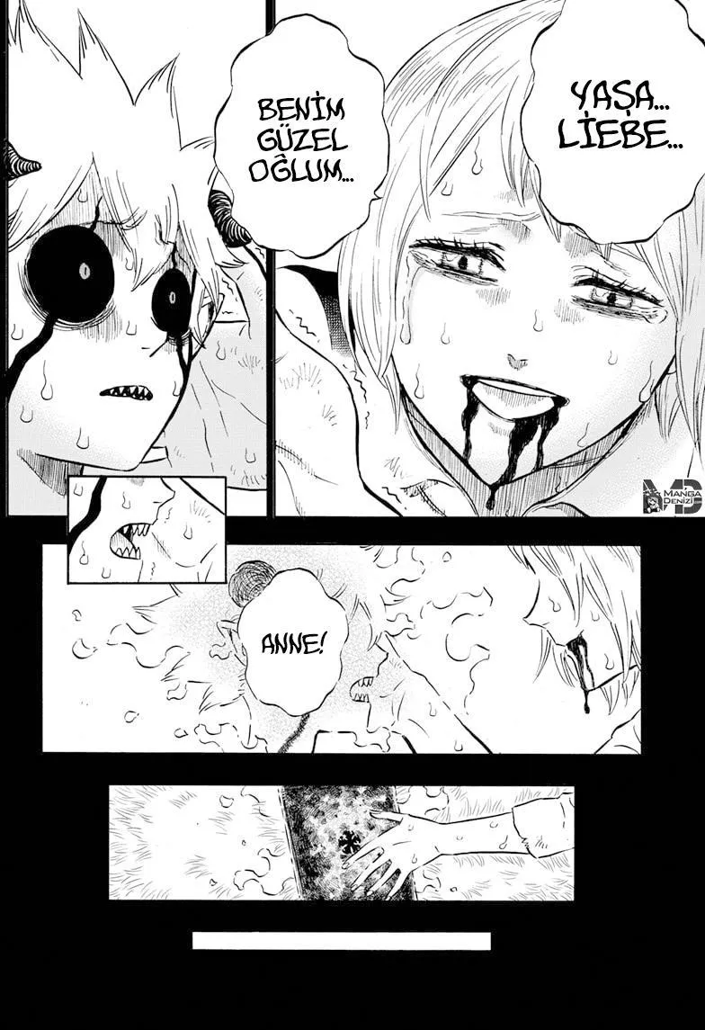 Black Clover - Sayfa 14