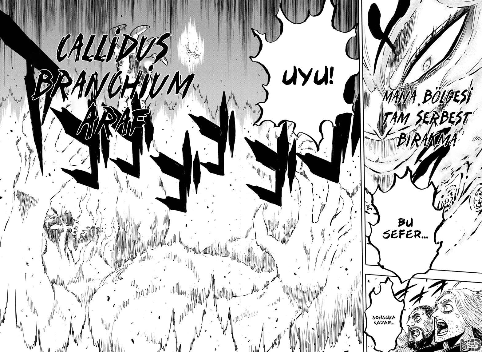 Black Clover mangasının 275 bölümünün 14. sayfasını okuyorsunuz.