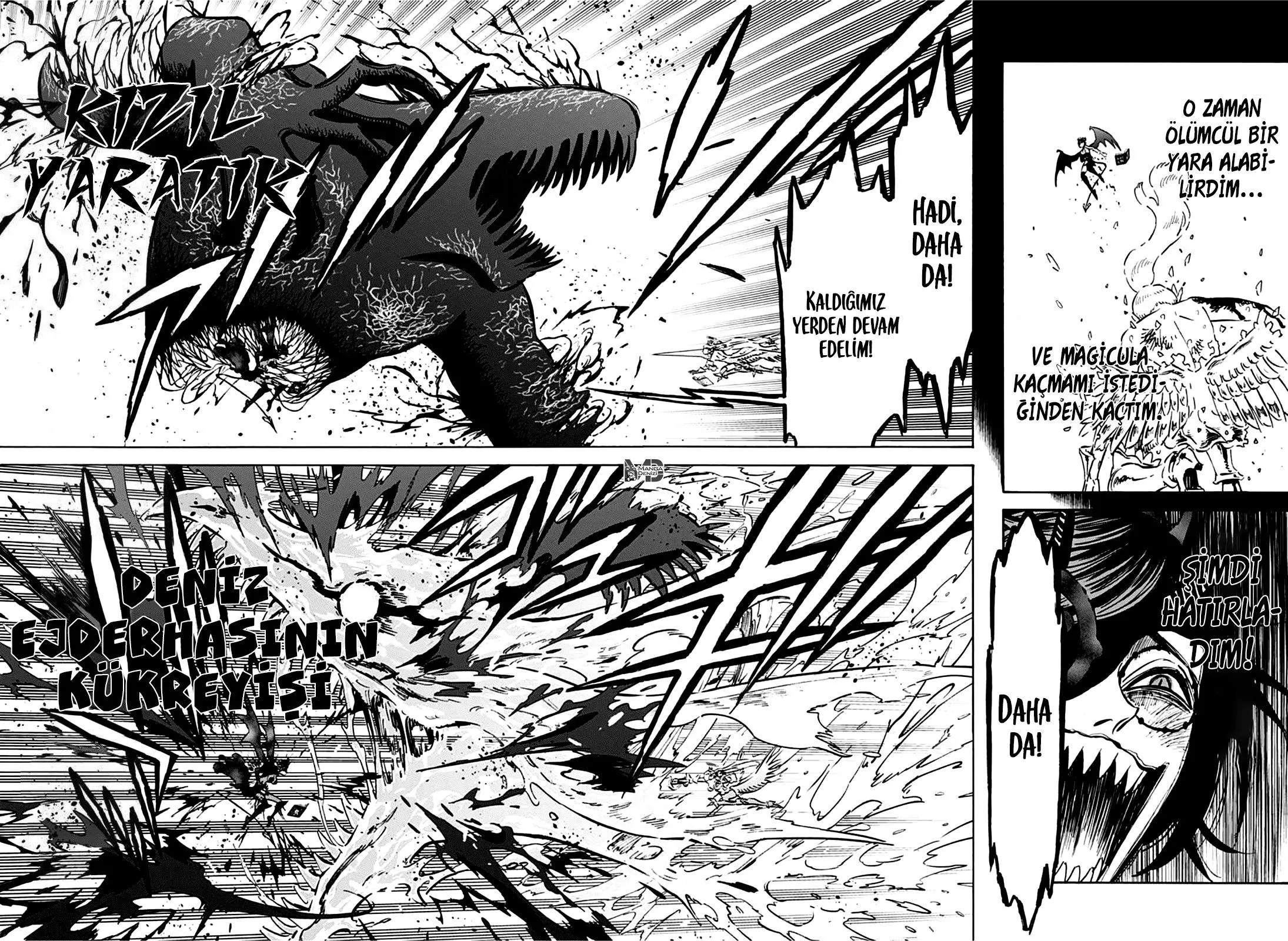 Black Clover - Sayfa 12