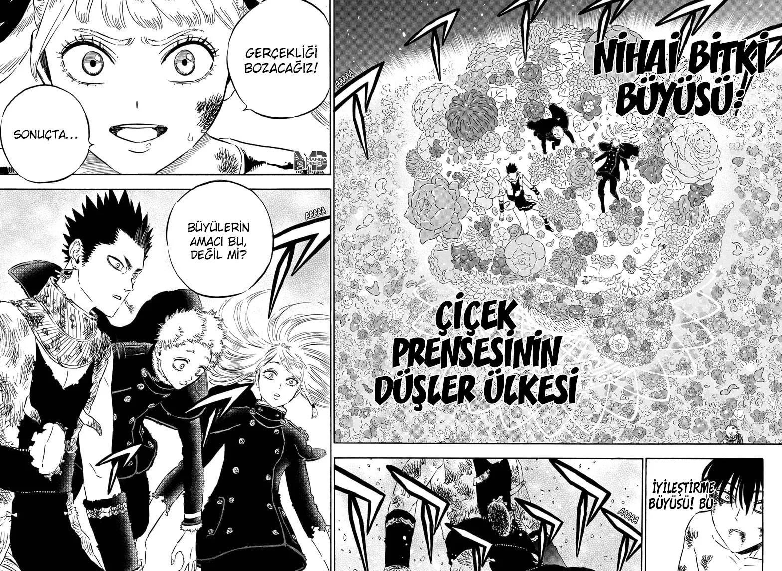 Black Clover - Sayfa 11