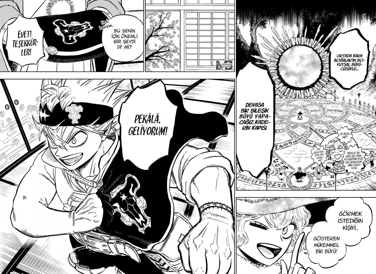 Black Clover - Sayfa 12