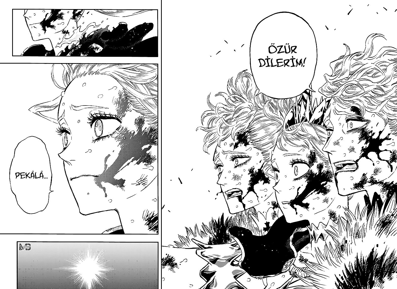 Black Clover mangasının 373 bölümünün 15. sayfasını okuyorsunuz.