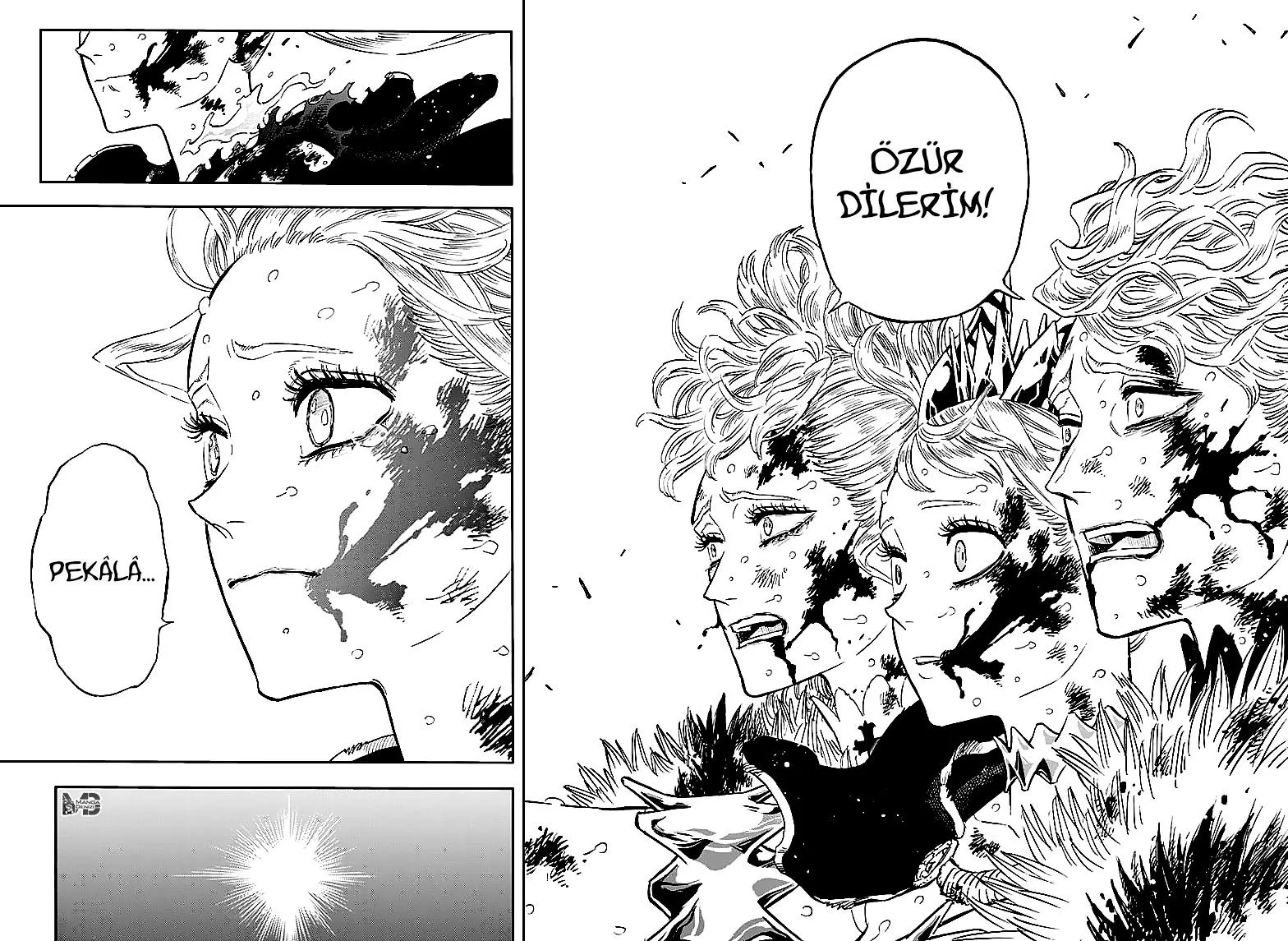 Black Clover - Sayfa 15