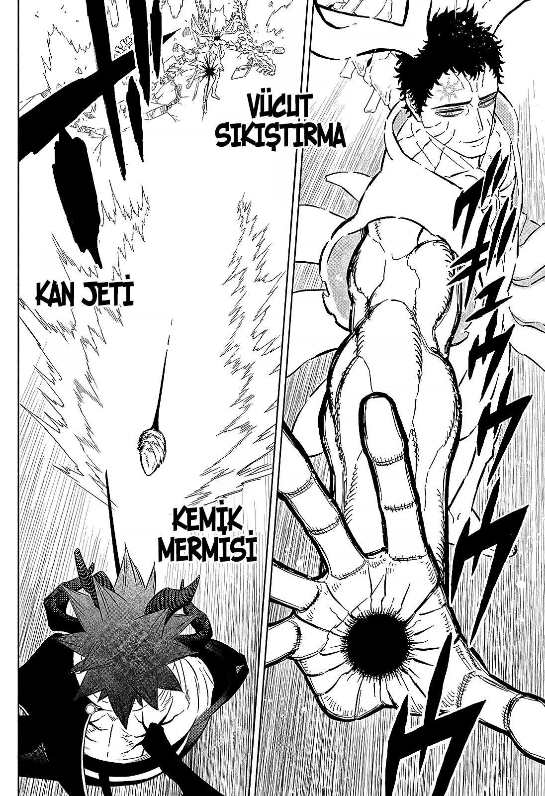 Black Clover mangasının 378 bölümünün 5. sayfasını okuyorsunuz.