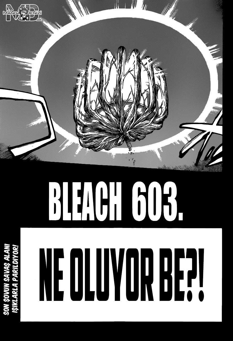 Bleach mangasının 603 bölümünün 4. sayfasını okuyorsunuz.