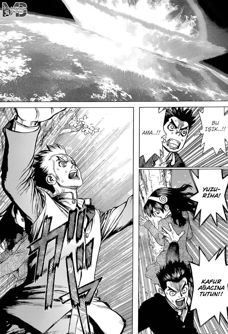 Dr. Stone - Sayfa 11