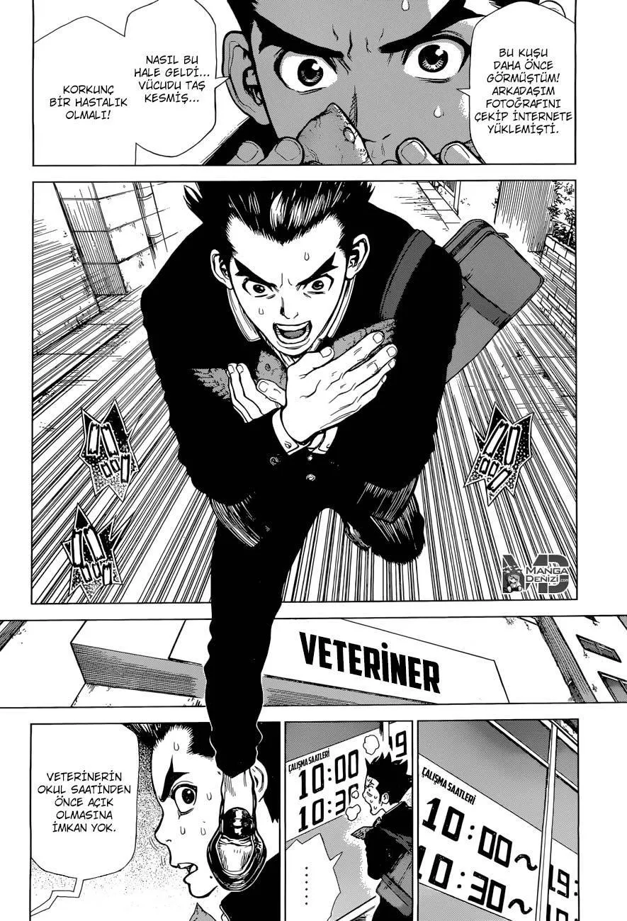 Dr. Stone - Sayfa 20