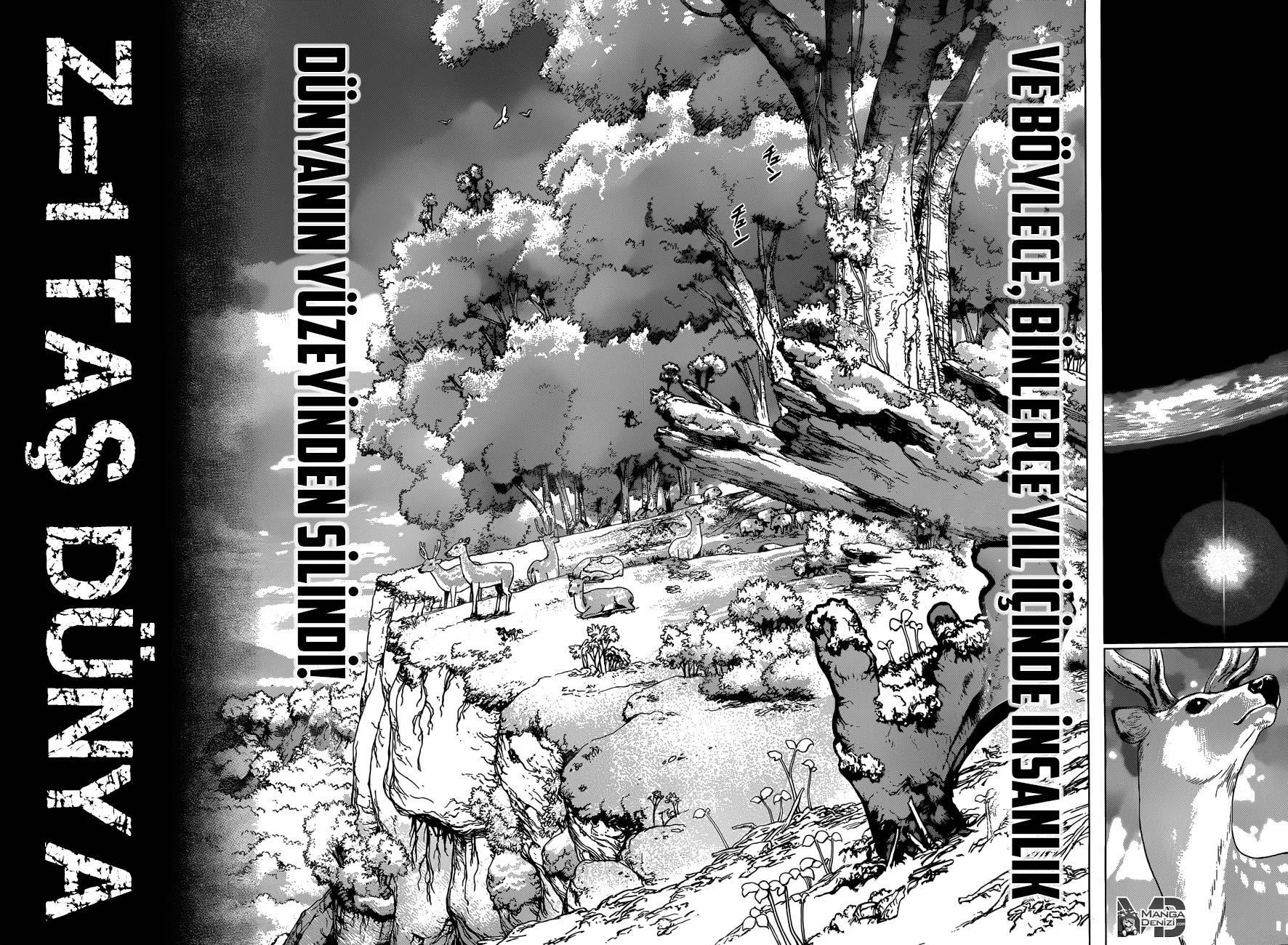 Dr. Stone mangasının 01 bölümünün 28. sayfasını okuyorsunuz.