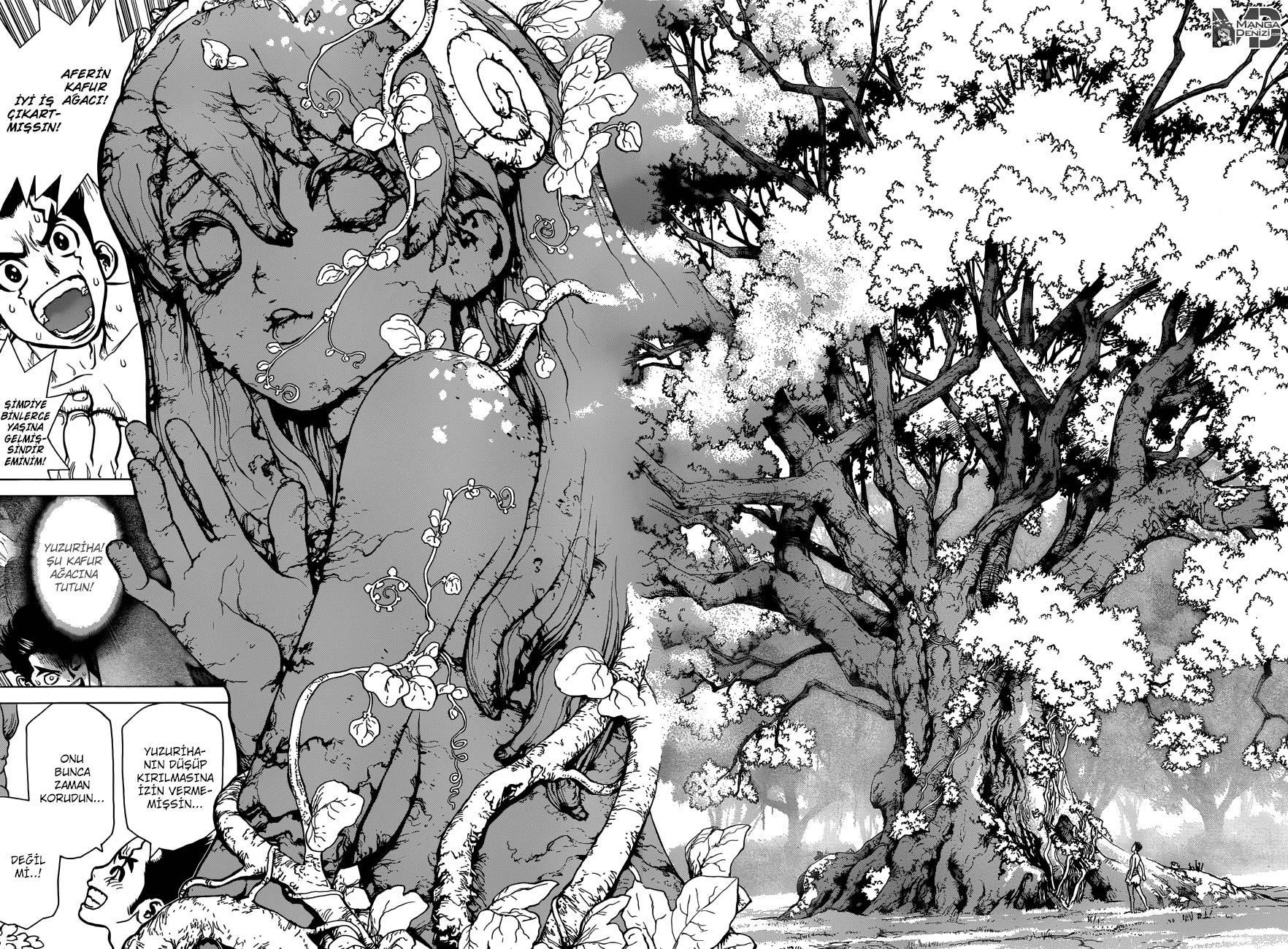 Dr. Stone mangasının 01 bölümünün 34. sayfasını okuyorsunuz.