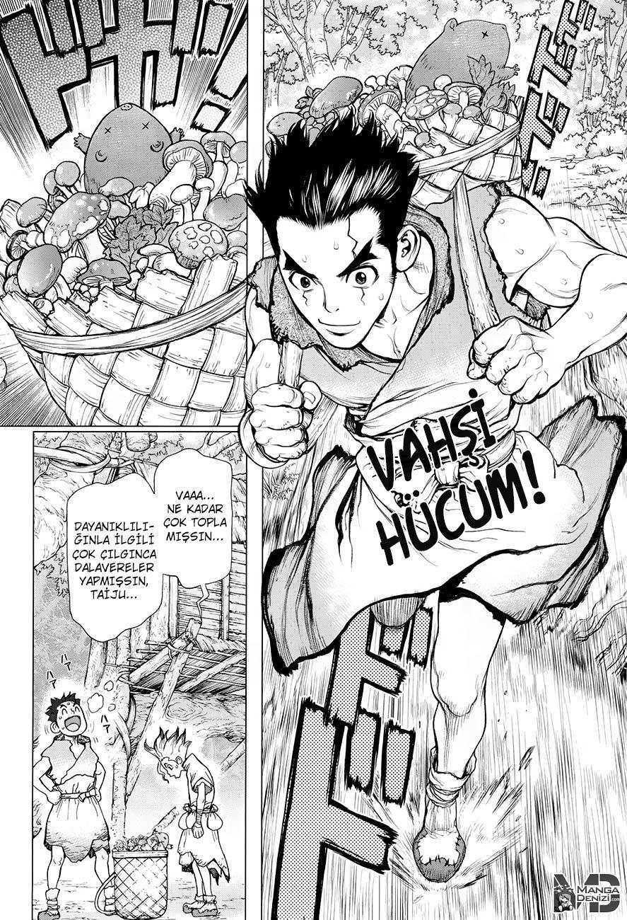 Dr. Stone mangasının 02 bölümünün 3. sayfasını okuyorsunuz.