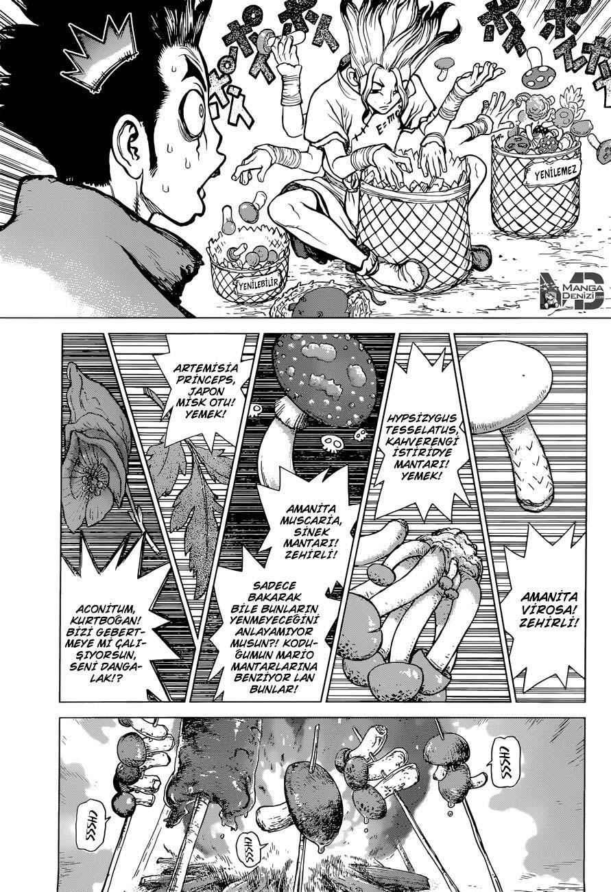 Dr. Stone mangasının 02 bölümünün 4. sayfasını okuyorsunuz.