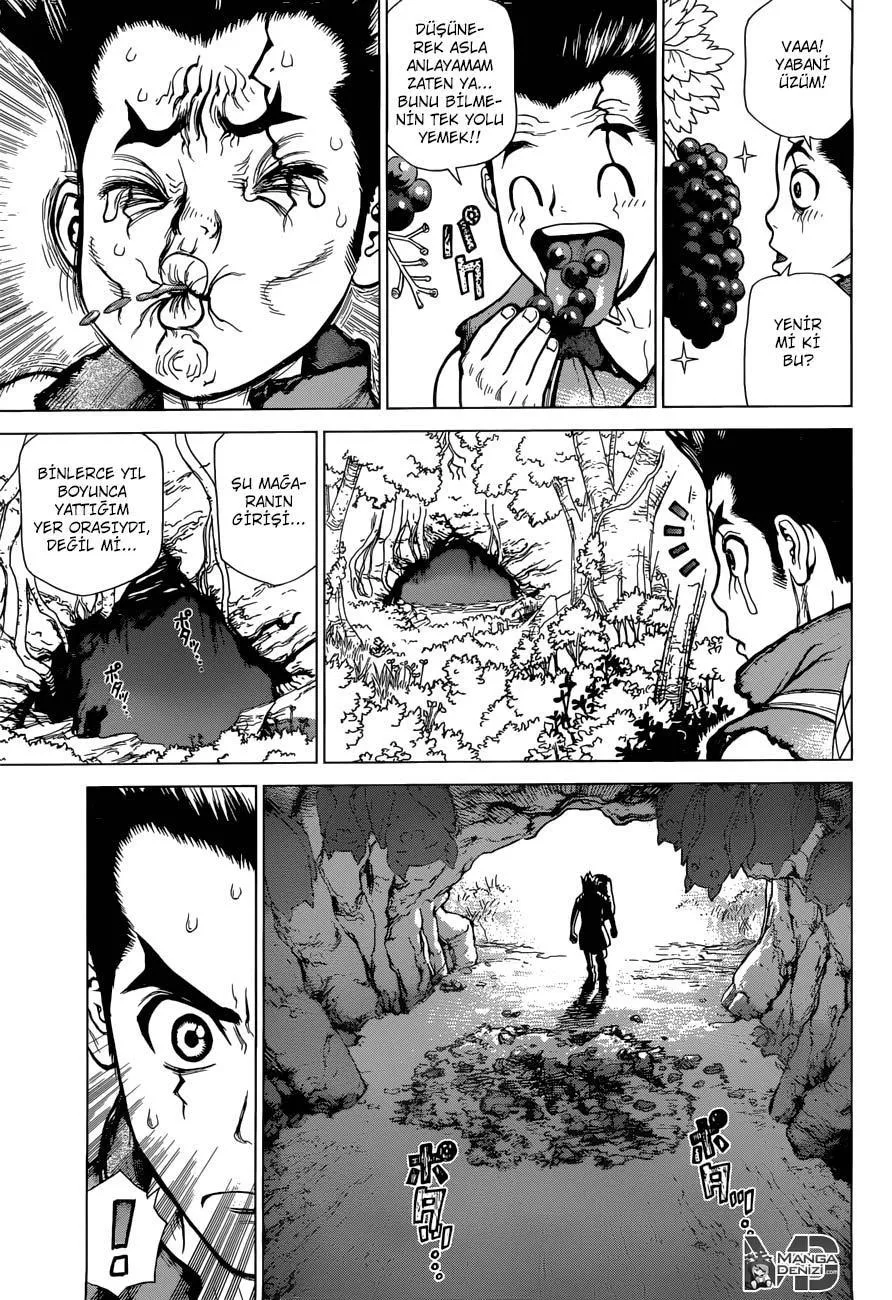 Dr. Stone - Sayfa 6