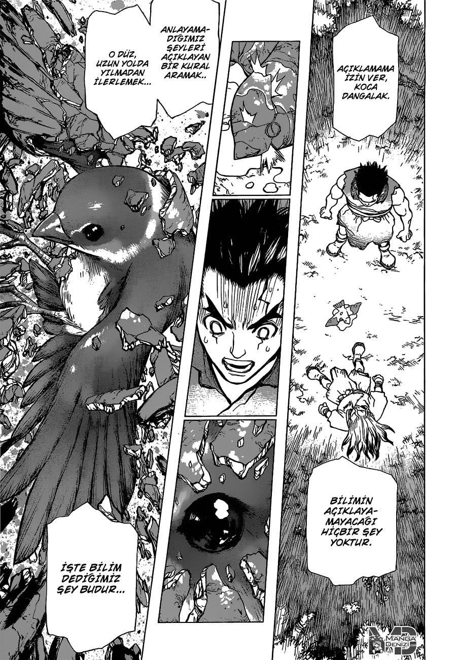 Dr. Stone mangasının 02 bölümünün 22. sayfasını okuyorsunuz.