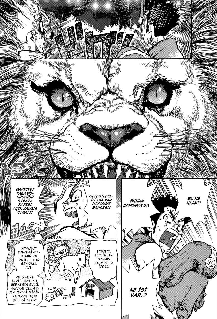 Dr. Stone mangasının 03 bölümünün 7. sayfasını okuyorsunuz.