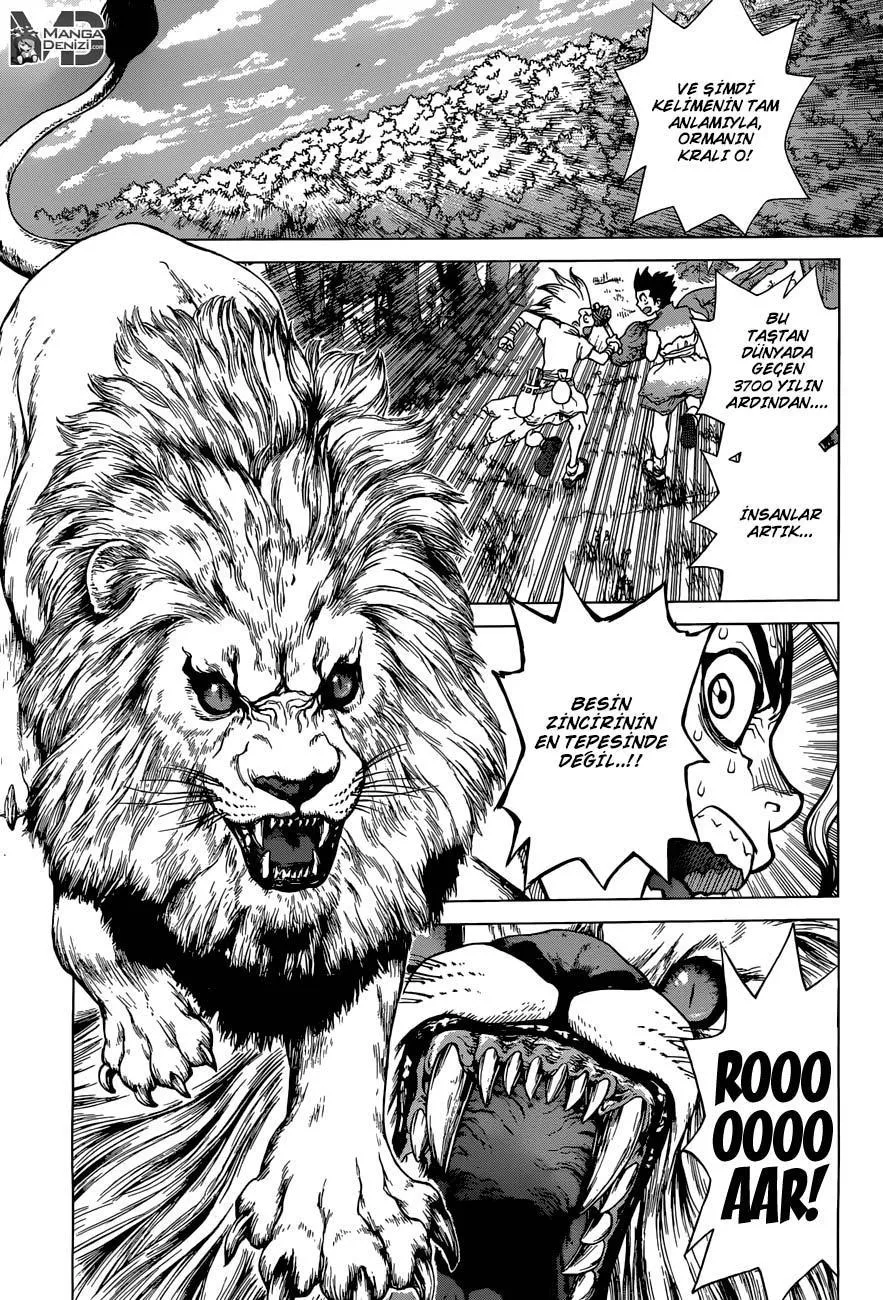 Dr. Stone - Sayfa 8