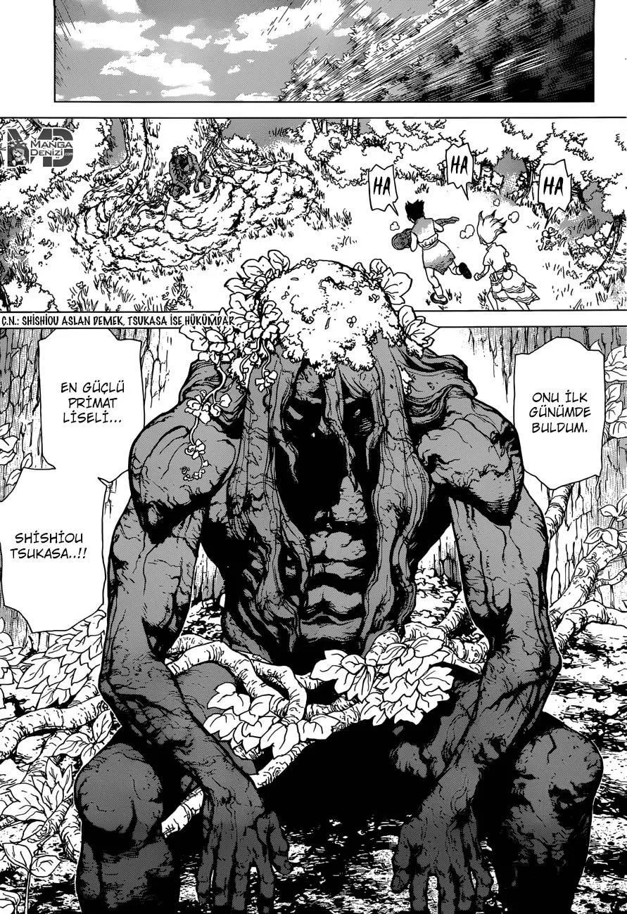 Dr. Stone - Sayfa 14