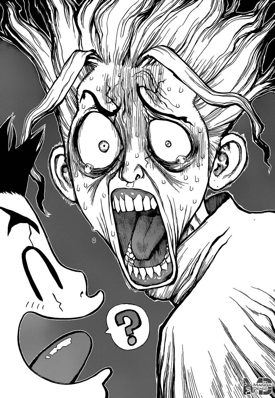 Dr. Stone mangasının 05 bölümünün 3. sayfasını okuyorsunuz.