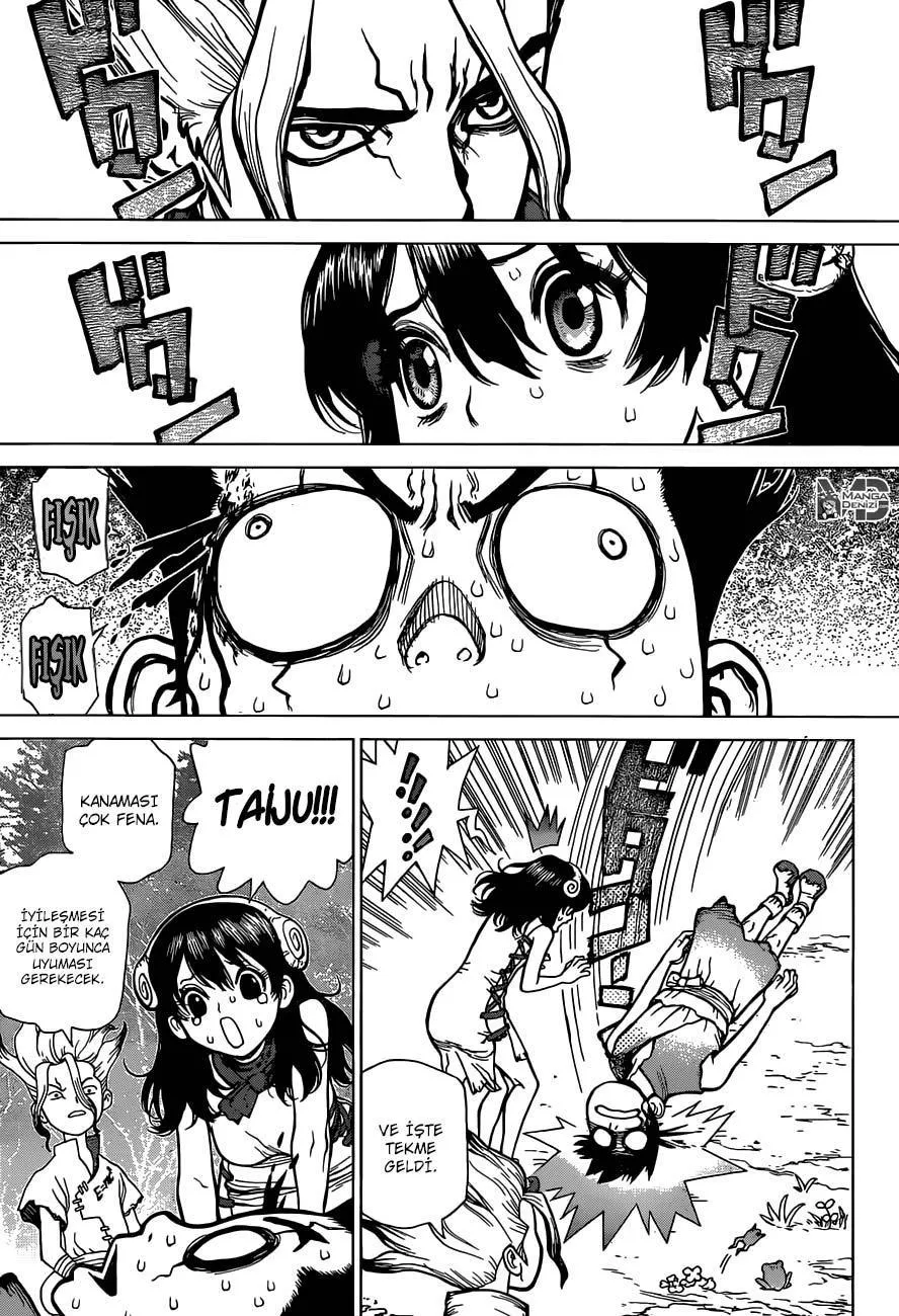 Dr. Stone - Sayfa 14