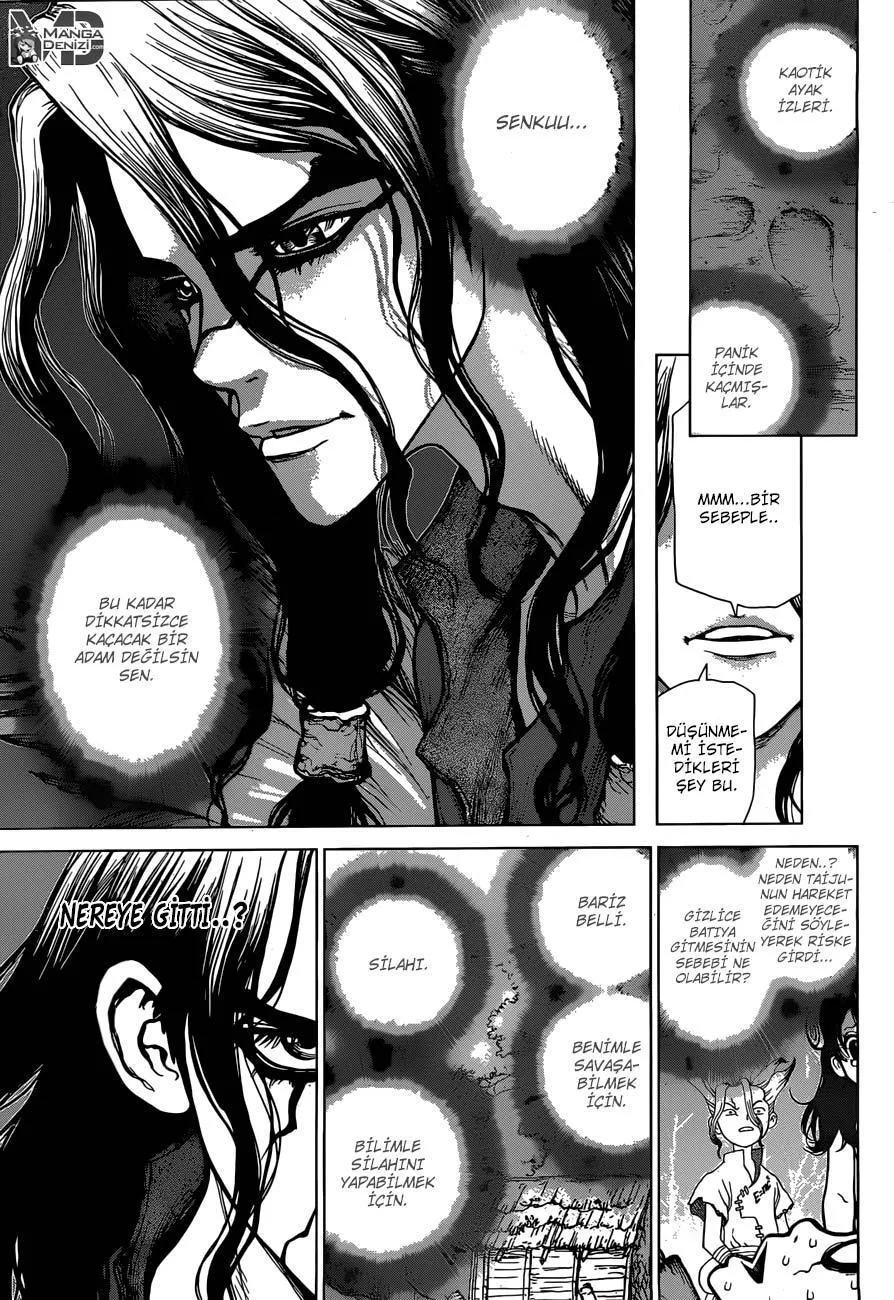 Dr. Stone - Sayfa 14