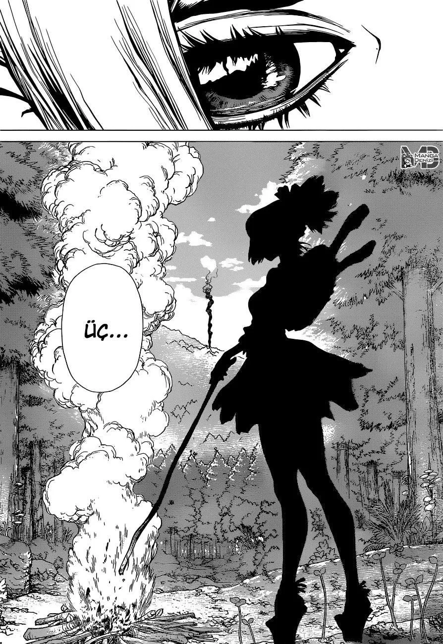 Dr. Stone - Sayfa 16