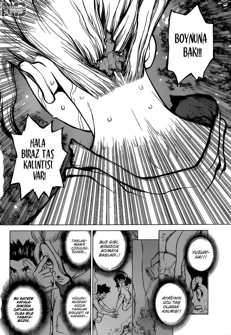 Dr. Stone - Sayfa 13