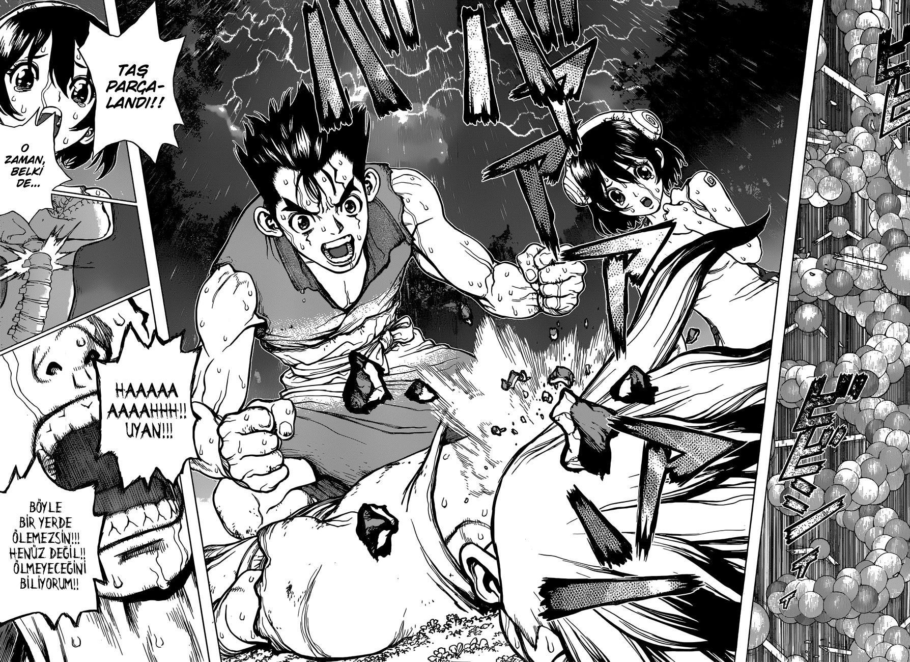 Dr. Stone mangasının 12 bölümünün 15. sayfasını okuyorsunuz.