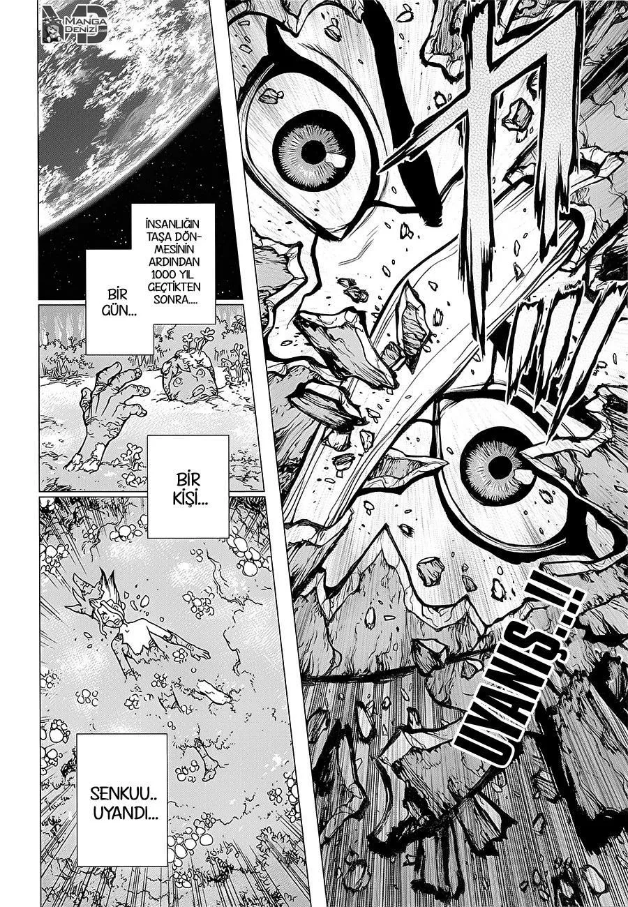 Dr. Stone - Sayfa 2