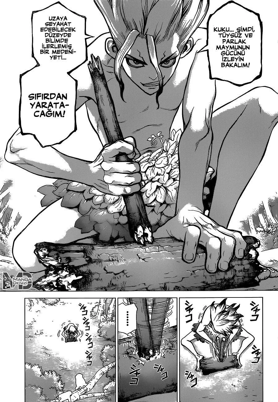 Dr. Stone - Sayfa 8