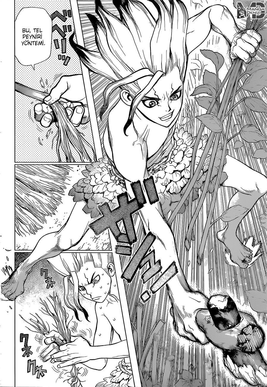 Dr. Stone mangasının 13 bölümünün 13. sayfasını okuyorsunuz.