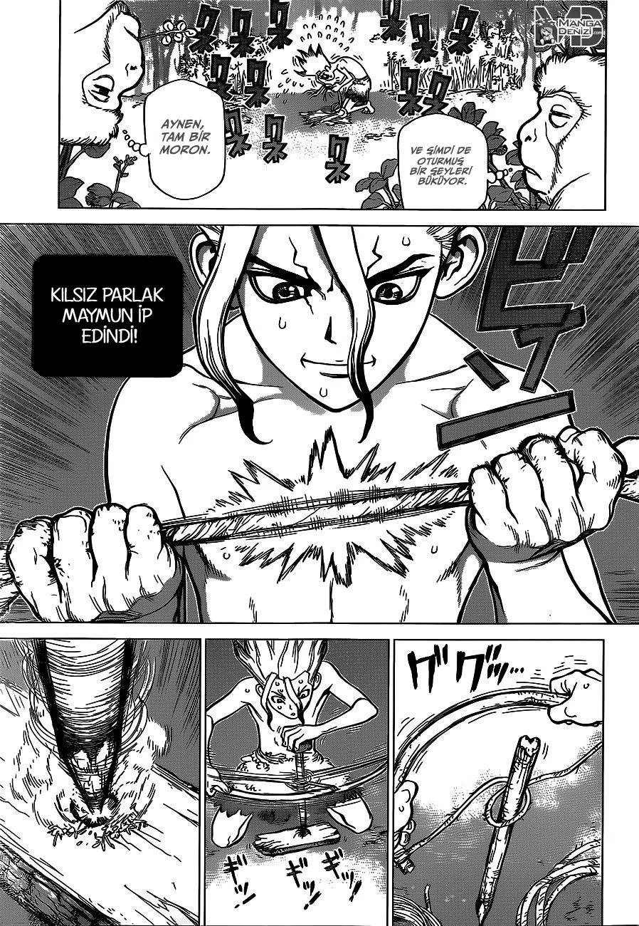 Dr. Stone - Sayfa 14