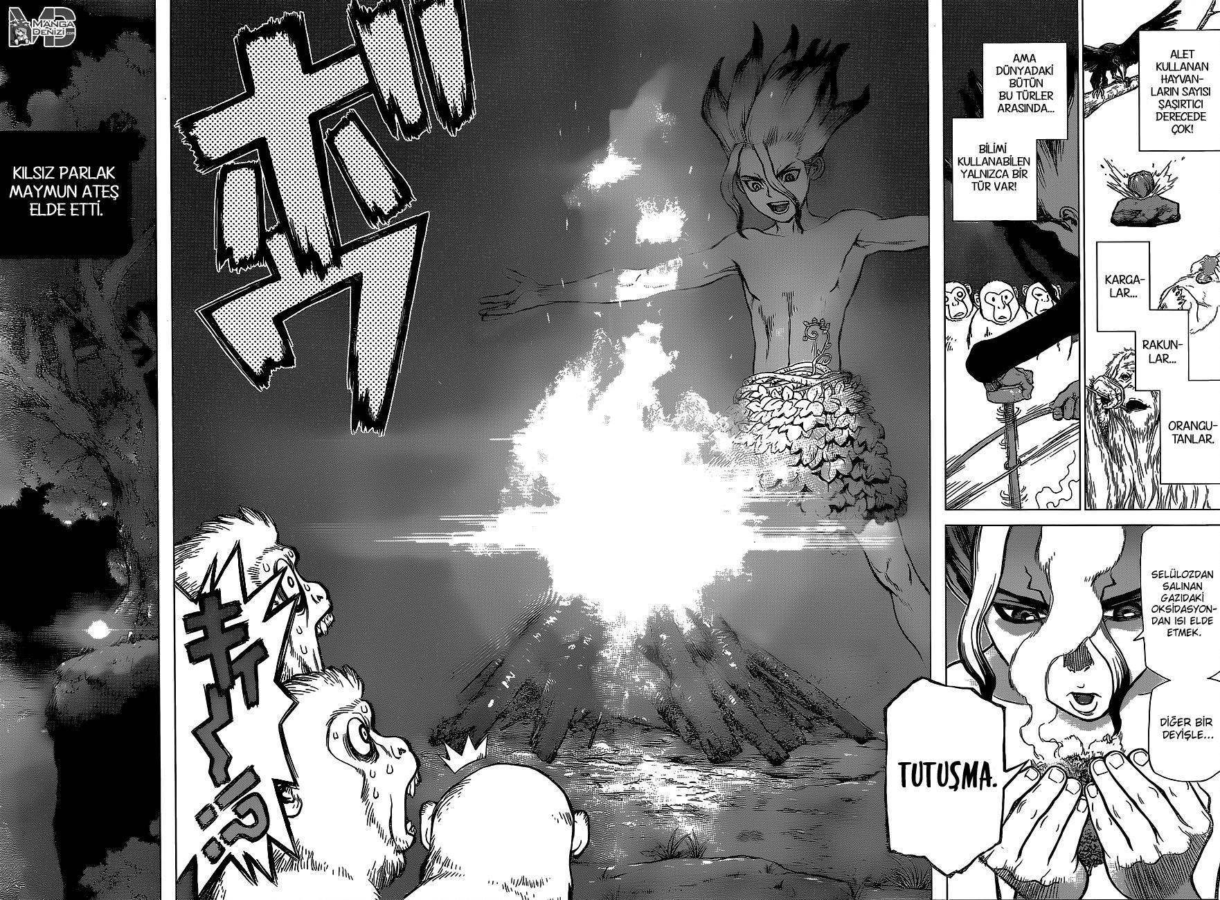 Dr. Stone mangasının 13 bölümünün 15. sayfasını okuyorsunuz.