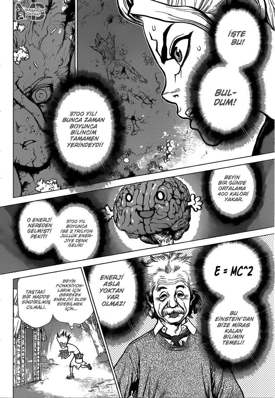 Dr. Stone - Sayfa 14